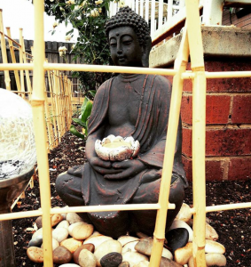 Four Must-Know Secrets of Garden Maintenance