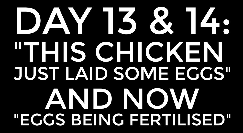 ivf-stlyle-and-life-by-susana