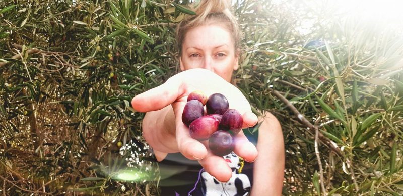 How to Marinate Olives: Home-made Style