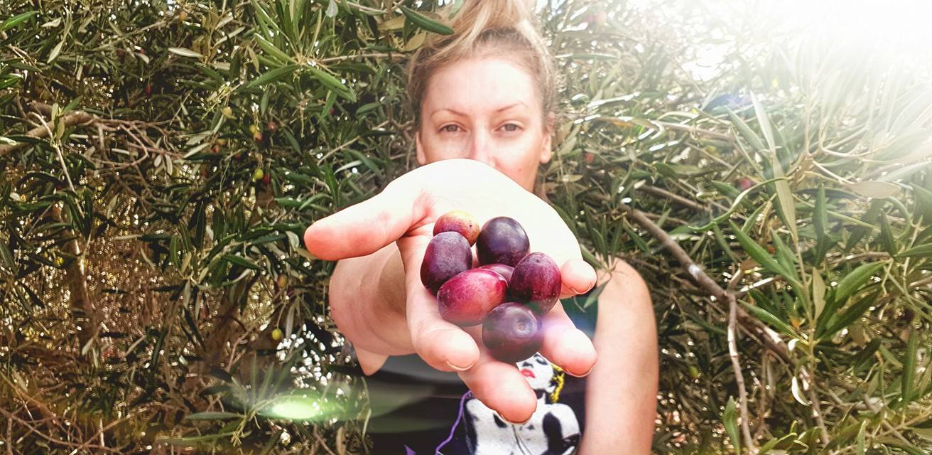 How to Marinate Olives | Style & Life by Susana How to Marinate Olives | Style & Life by Susana