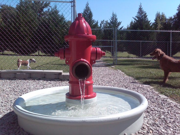 Diy outdoor dog outlet water fountain