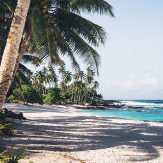 How A Pet Can Help Your Mental Health