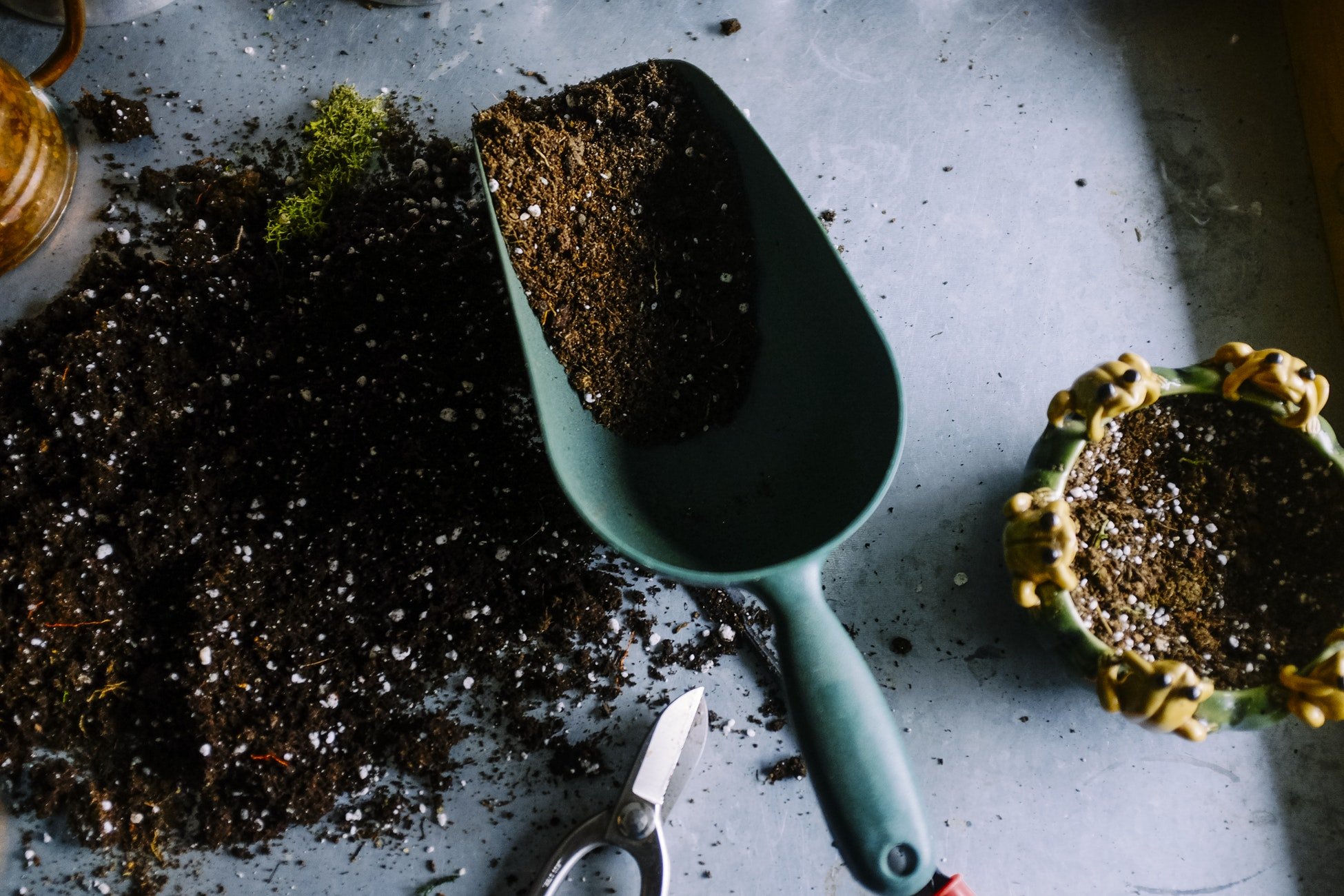 How to Choose a Hobby That Matches Your Personality | Style & Life by Susana How to Choose a Hobby That Matches Your Personality | Style & Life by Susana