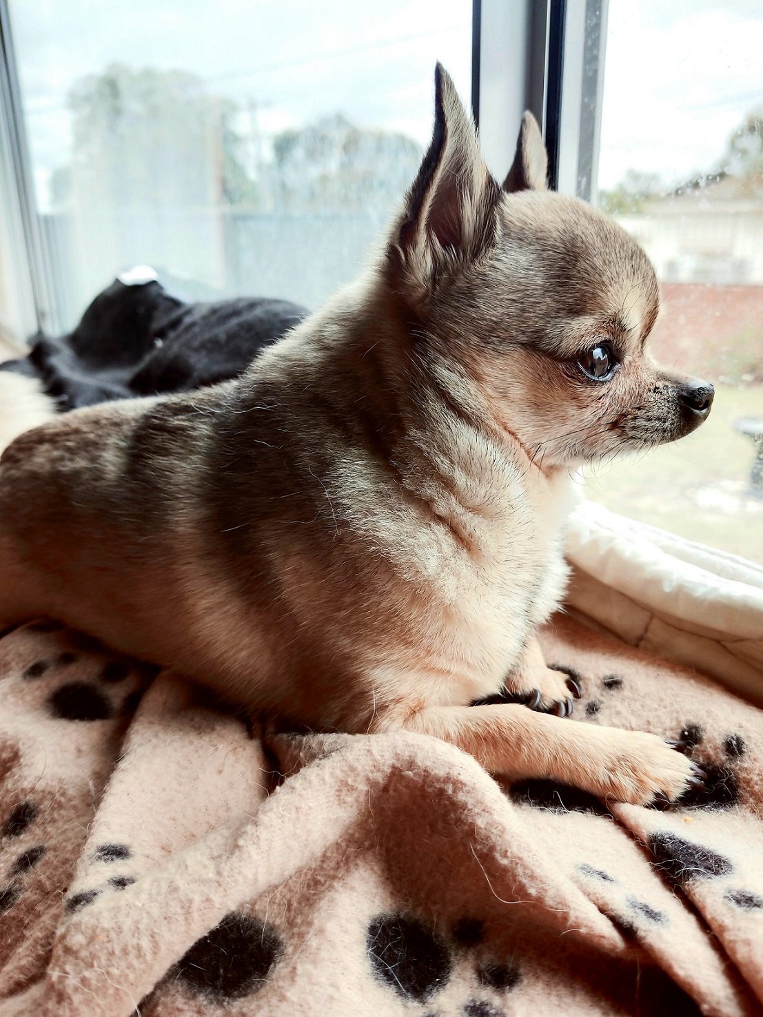 The Evolution of Music-Inspired Apparel