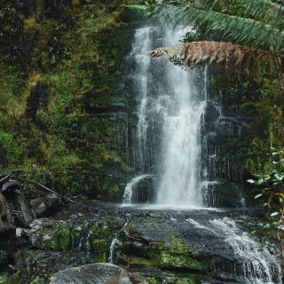 How to Mentally Prepare Yourself to Get Back into the Dating Pool